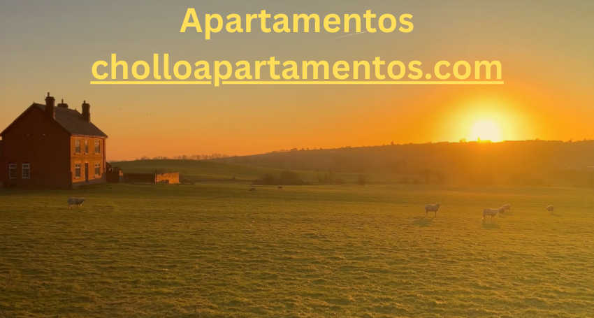 apartamentos cholloapartamentos.com
