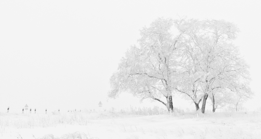 wintery mix prompts level 1 snow emergencies in southern ohio.